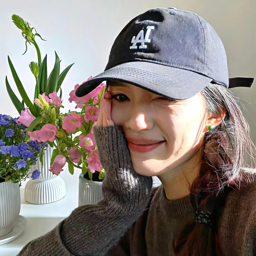 容易受伤的玫瑰